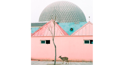 Pink house with a silver globe on top and a deer walking in front of it.