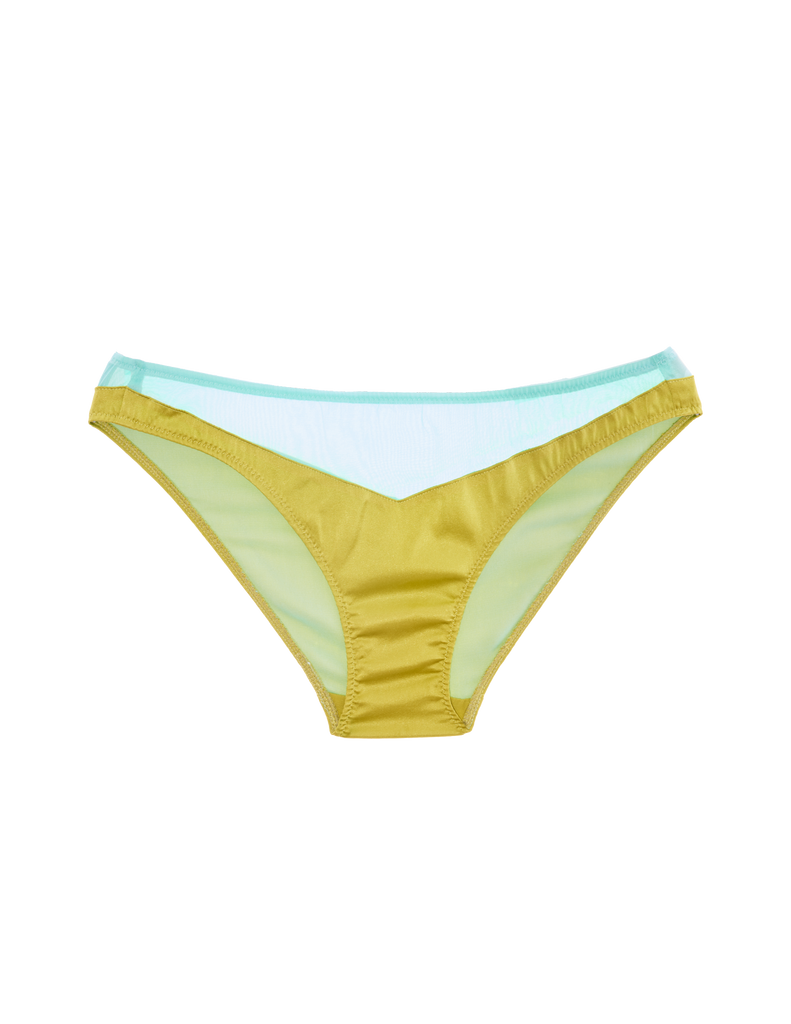 aaron panty in hummingbird green and blue